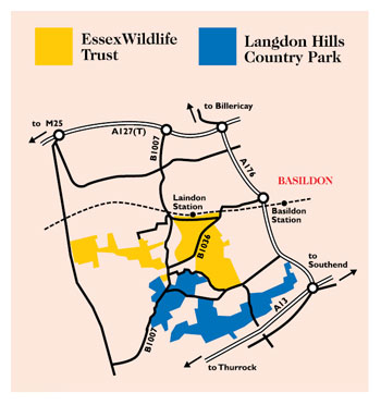 Langdon Hills - Country Park, Nature Reserve and Visitor Centre location