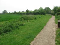 A path in Cymbeline Fields