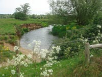 Cymbeline Fields