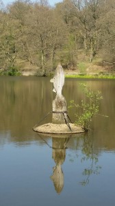 Fish jumping out of water: pond in Thorndon Country Park