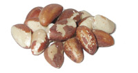 Brazil-Nuts