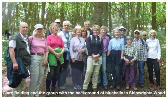 Clare Balding with the walking group on 6th May 2014 with the background of bluebells in Shipwrights Wood