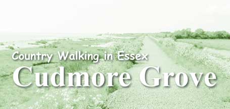 Country Walking in Essex: Cudmore Grove