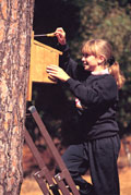 Girl with nest box