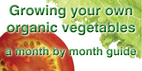 Grow your own organic veg for a healthier life - Healthy Life Essex