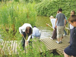 Pond Dipping at Hanningfield