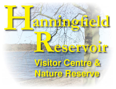 Hanningfield Reservoir - Nature Reserve and Visitor Centre