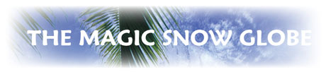 The Magic Snow Globe