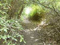 Roman River Valley footpath