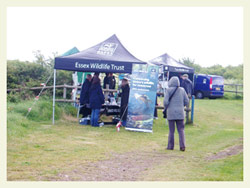 Stalls at Two Tree Island Open Day