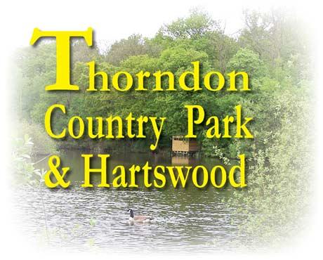 Thorndon Country Park and Hartswood