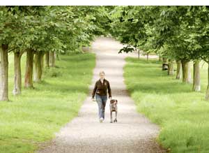 Walking in the Weald Country Park