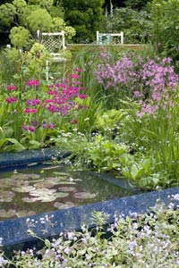 Wildlife garden with pond