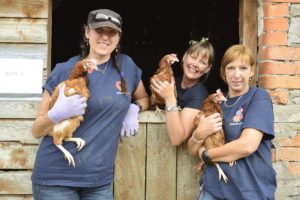 British Hen Welfare Trust