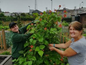 Grow It Cook It Eat It course - Castle Point and Rochford