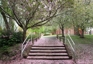 handrails by steps