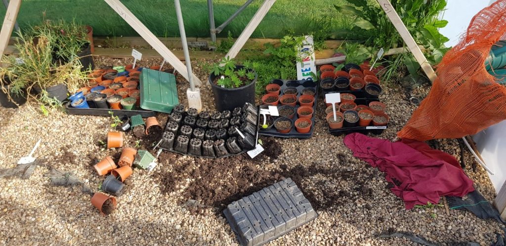 Damage at Growing Together Shoeburyness April 2019