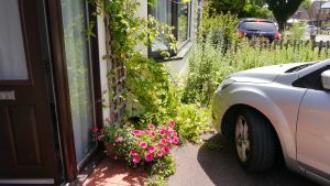 Eileen Peck's front door includes climbers and a small plant pot display.