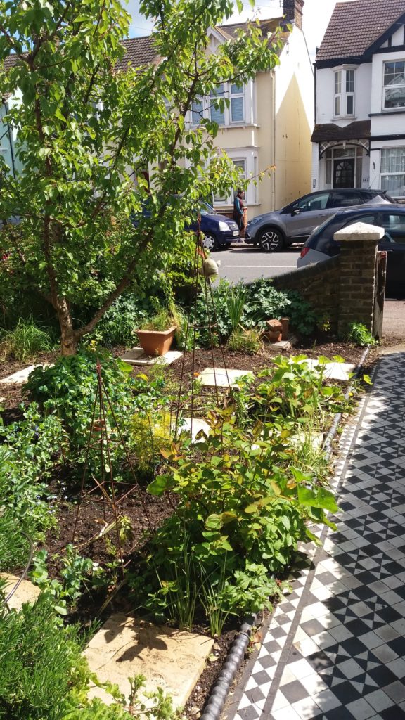 A front garden planted with fruit and veg