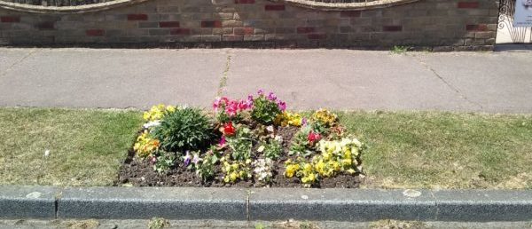 A very pretty front garden in Thundersley