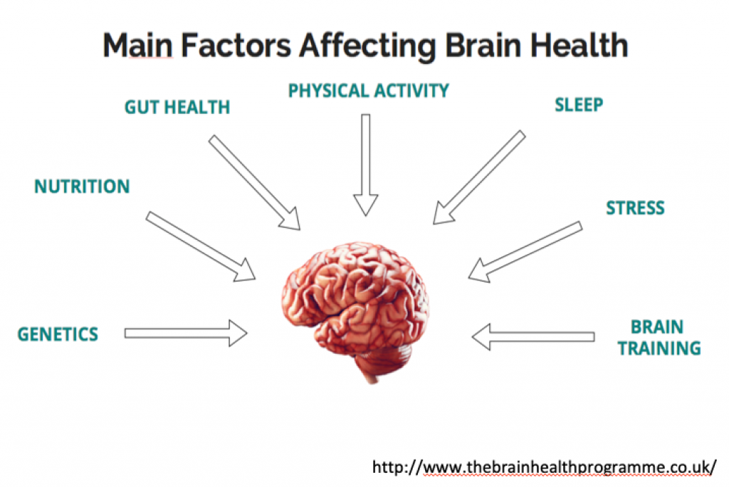 Main factors affecting brain health