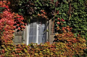 climbers on house