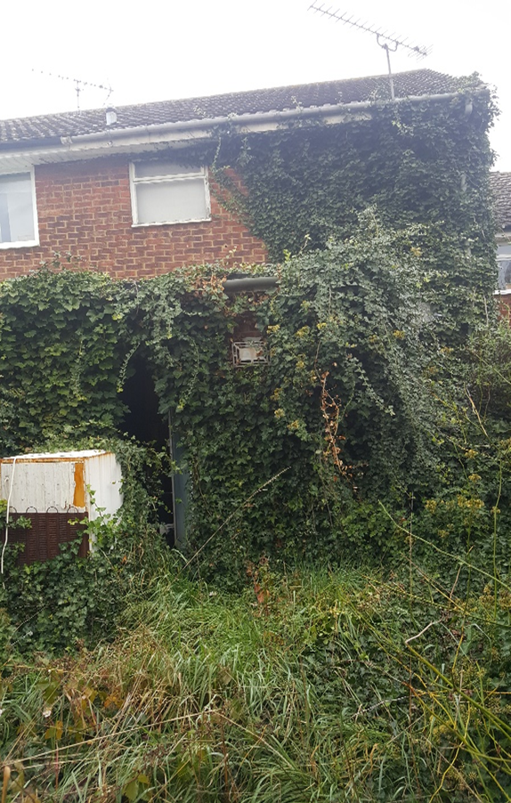 Thurrock resident's back garden covered with ivy