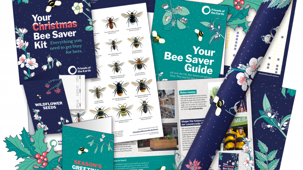 Friends of the Earth Christmas Bee Saver Kit