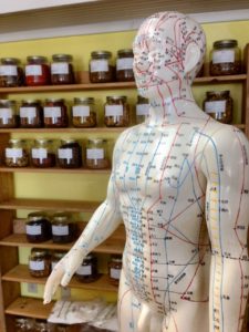 acupuncture. dummy showing meridian acupoints