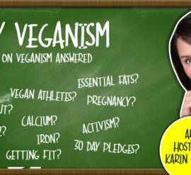 Easy Veganism. The joys of plant-based living