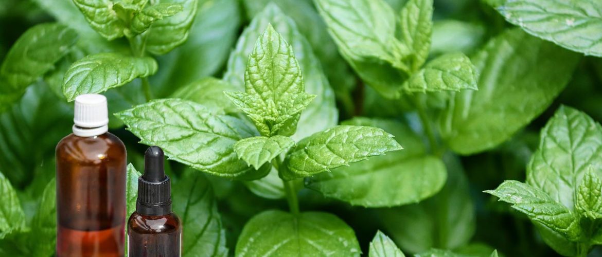 Relieve tooth pain naturally with pepper mint oil