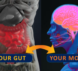 Mental health and the gut-brain connection