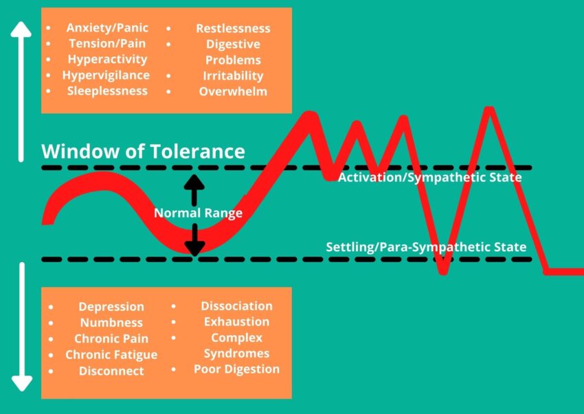 Where are we in our window of tolerance? asks Kristin Loeer