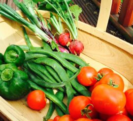 The Grow-Your-Own support Project could help you grow food like this