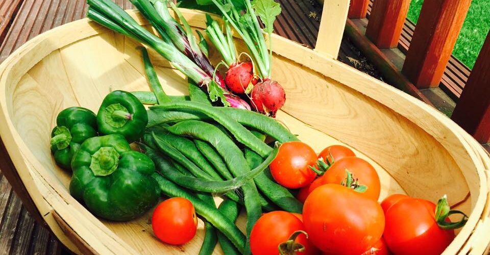 The Grow-Your-Own support Project could help you grow food like this