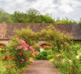 Summer is an ideal time to start planning your garden for next year