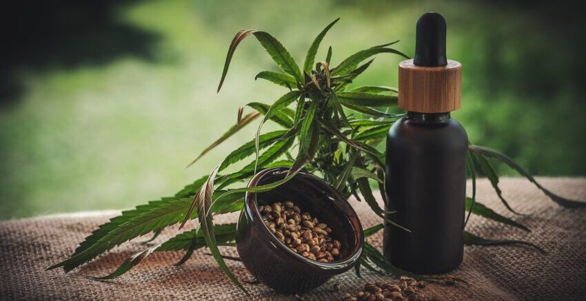 CBD comes in many different forms, the most popular of which is oil