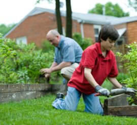 Amazing ways gardening benefits your health and wellbeing