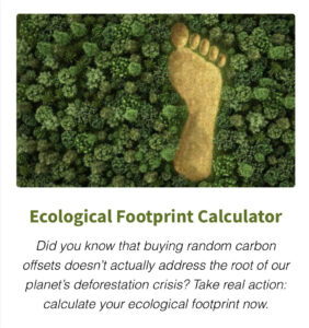 Carbon offsetting is not the only way to reduce your ecological footprint