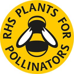 Use pollinator plants in your wildlife garden thats fun for kids too