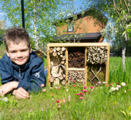 This little boy is having fun in his wildlife friendly garden