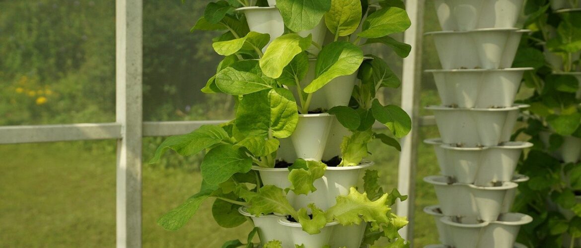 Using Hydroponics to Prepare for the Coming Food Shortages
