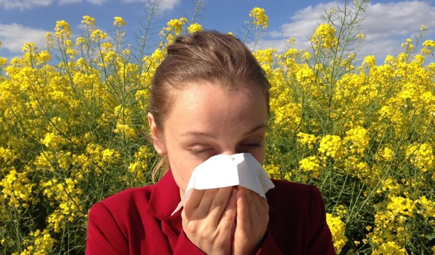 coping with spring allergies can be challenging