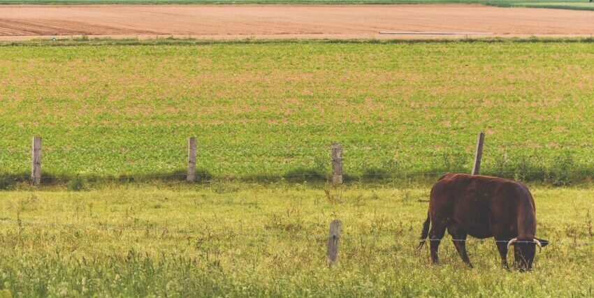 organic farming methods help reduce land pollution