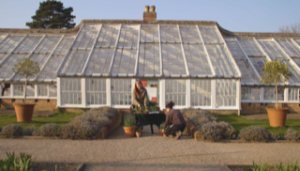 Audley End greenhouse