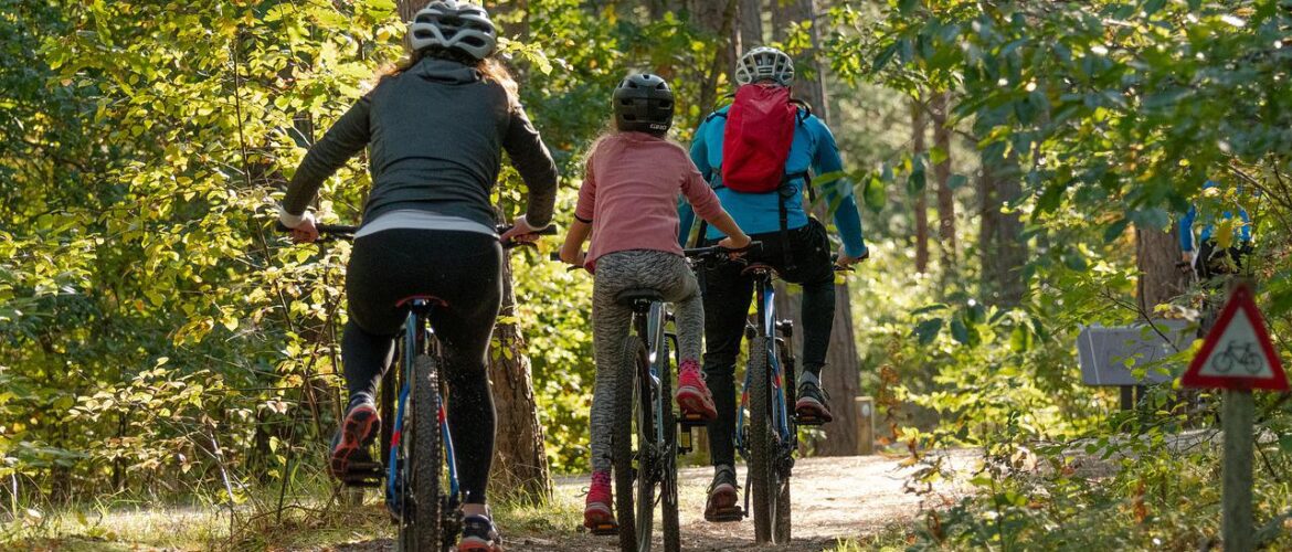 cycle is a great sport to keep you fit and something the family can do together