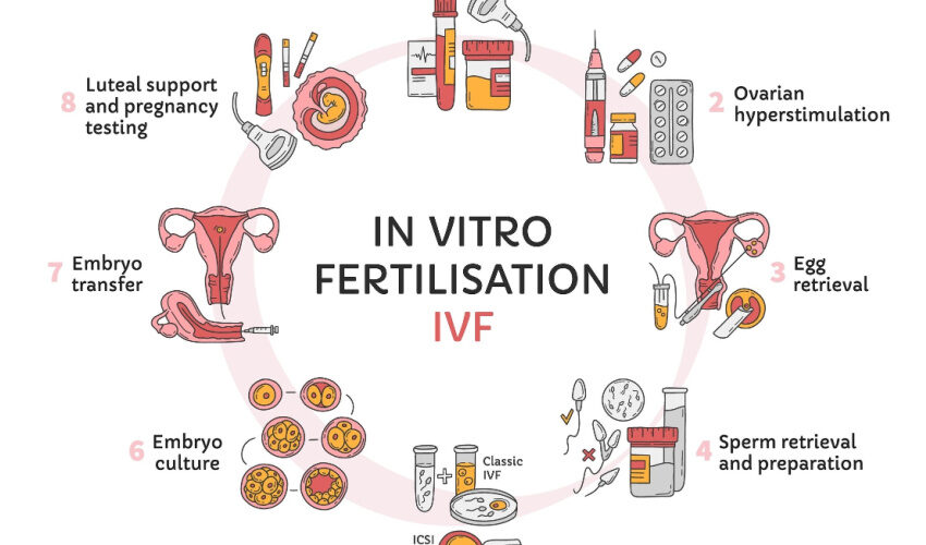 There are many factors that affect the success of IVF treatment