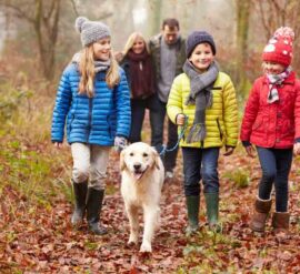 A sensory walk in the woods with the family is good for your health