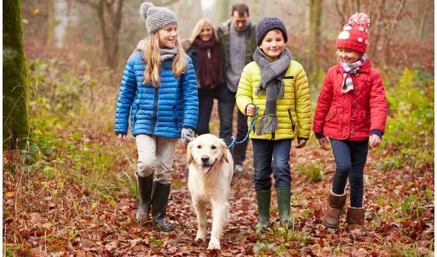 A sensory walk in the woods with the family is good for your health