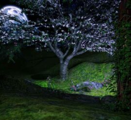 This garden with the moon highlighting the tree emphasises the magic of moon gardens